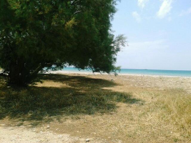 Agiassos Naxos Apartments Zewnętrze zdjęcie